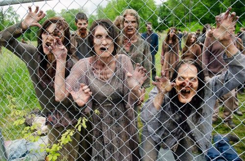 “The Walking Dead”: ¡La lucha por la supervivencia!
