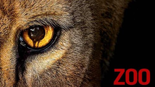 La cadena CBS renueva la serie “Zoo” por una segunda temporada