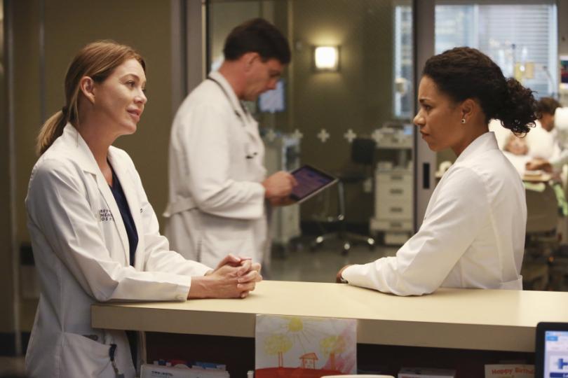 Una teoría de Meredith en Anatomía de Grey podría marcar el final de la serie
